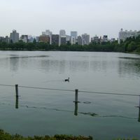 Пруд в парке Уэто (Токио)