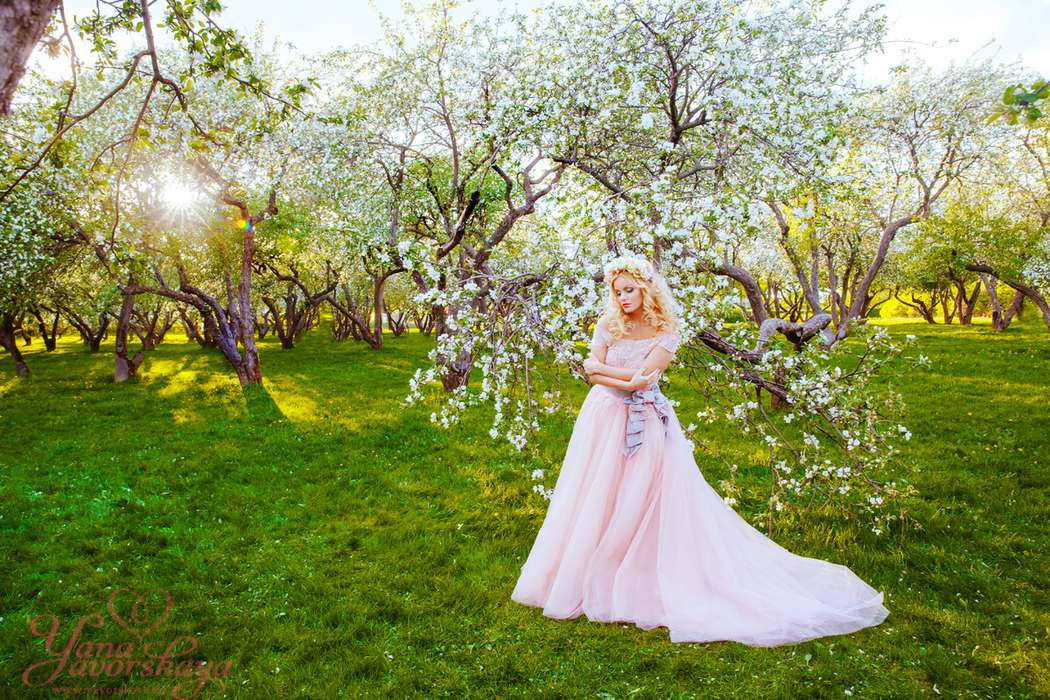 Платье цветущие сады. Екатерининский парк яблони. Съемка в цветущем саду. Фотосессия в цветущем саду. Съемка в яблоневом саду.