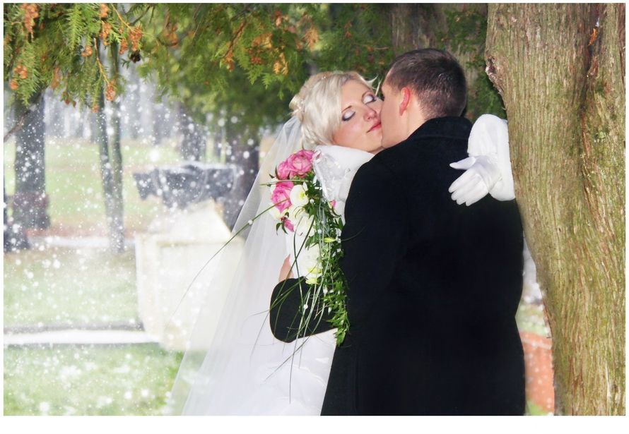 Фото 4209237 в коллекции Свадьбы - Фотограф Инна Макеенко