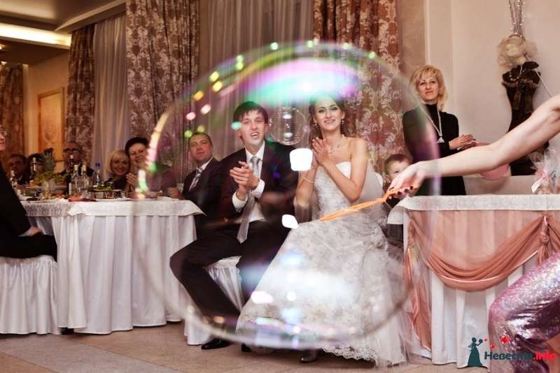 шоу мыльных пузырей - фото 318145 Шоу мыльных пузырей "Bubble Dream"