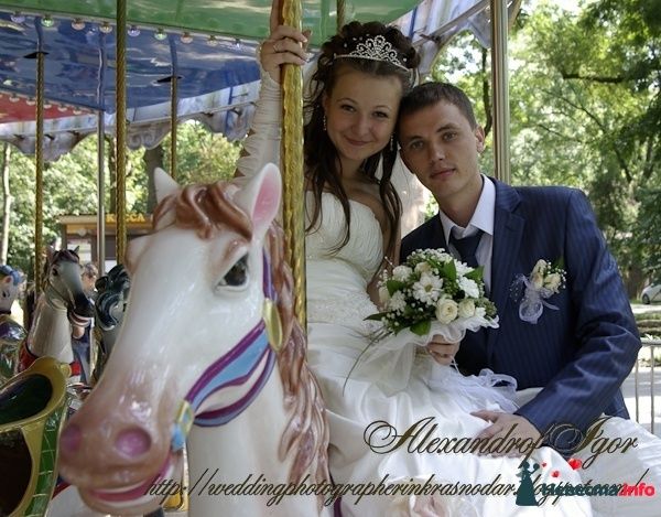 Свадебная карусель - фото 324480 Alexandrof-wedding photographer