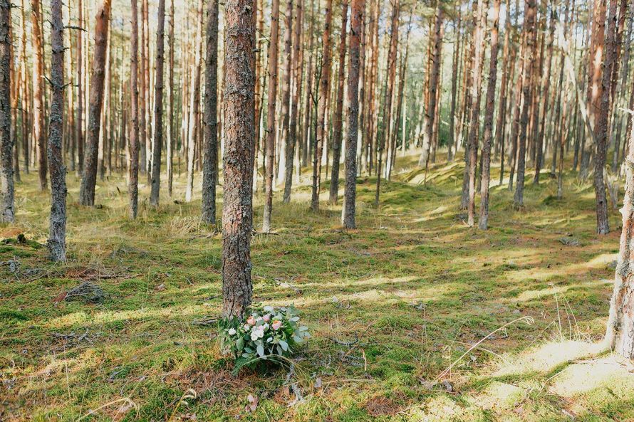 Фото 8988058 в коллекции Рустик - Фотограф Ксюша Галахова