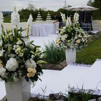 организатор - свадебное агентство "Марина Мендельсон"