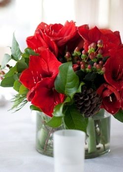 Фото 7584598 в коллекции :) - Распорядитель Амина Минкина