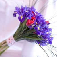 Подарочный букет из голубых ирисов и красных тюльпанов