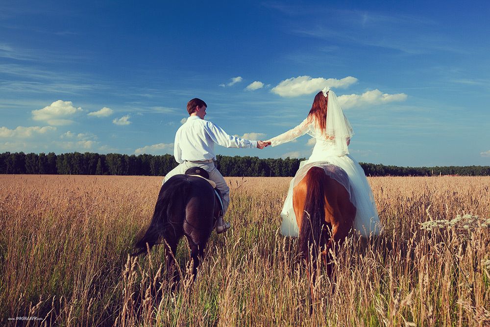 Конь жених. Свадебная фотосессия с лошадьми. Свадебная фотосессия с лошадьми летом. Невеста на лошади. Жених и невеста на коне.