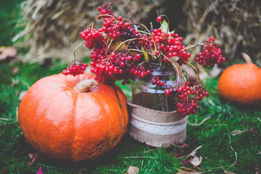 Фото 8040914 в коллекции Осенняя фотозона - "Важный день" - декор и флористика