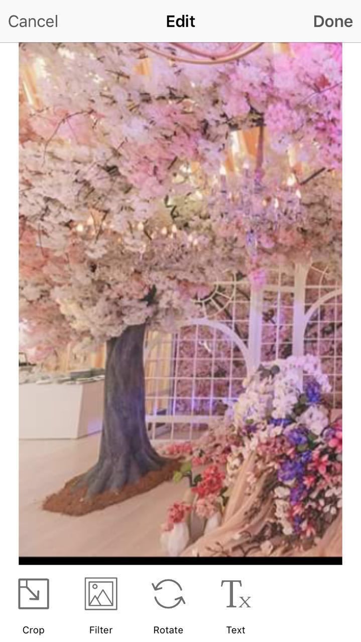 Фото 11322952 в коллекции Обо мне - Организатор Столярова Наталья