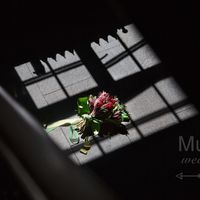 Свадебное агентство в Киеве MuZa-wedding