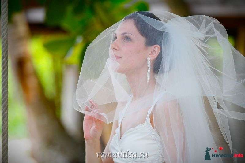 фотограф в Таиланде.  - фото 438503 Romantica - свадебное агентство в Таиланде