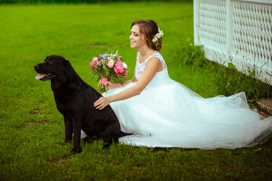 Фото 11221642 в коллекции Портфолио - Фотограф Лобова Оксана