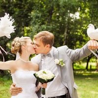 Пара голубей для свадебной фотосессии