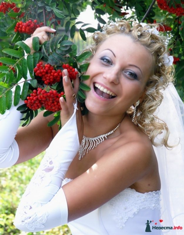 свадьба в Магнитогорске фото видео Андрей Эктоф, свадебное агентство "Ektof." - фото 447042 Фотограф Андрей Эктоф