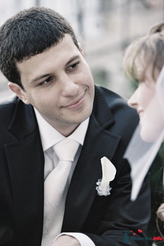 юра коллекция