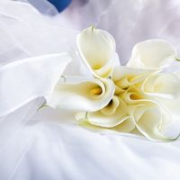 Новое изображениеву