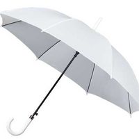 Зонт
Зонт белый для регистрации от дождя и солнца.
Аренда 100руб/шт.