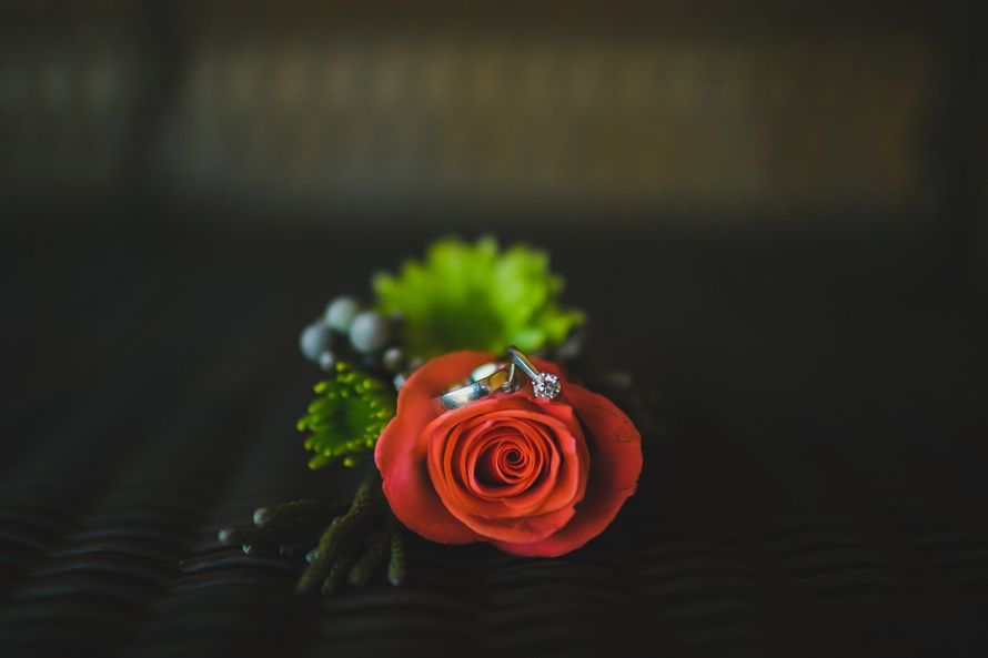 Фото 12251076 в коллекции Дарья+Владимир - Свадебное агентство "Вдвоём"