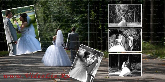 Фото 660163 в коллекции Мои фотографии - "VideoLIA" - свадебное кино и фотография