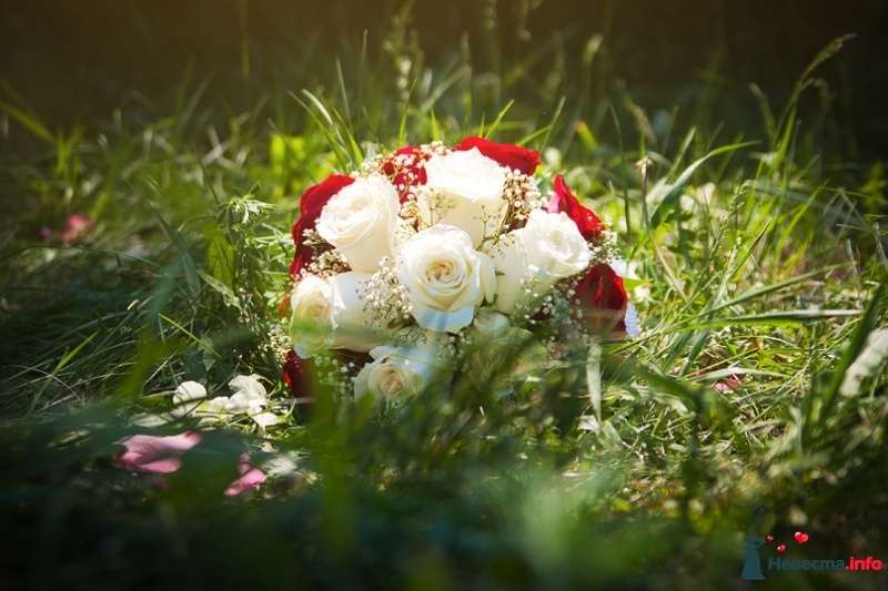 Букет невесты из белой гипсофилы, белых и красных роз  - фото 483929 Свадебный фотограф Огородникова Юлия