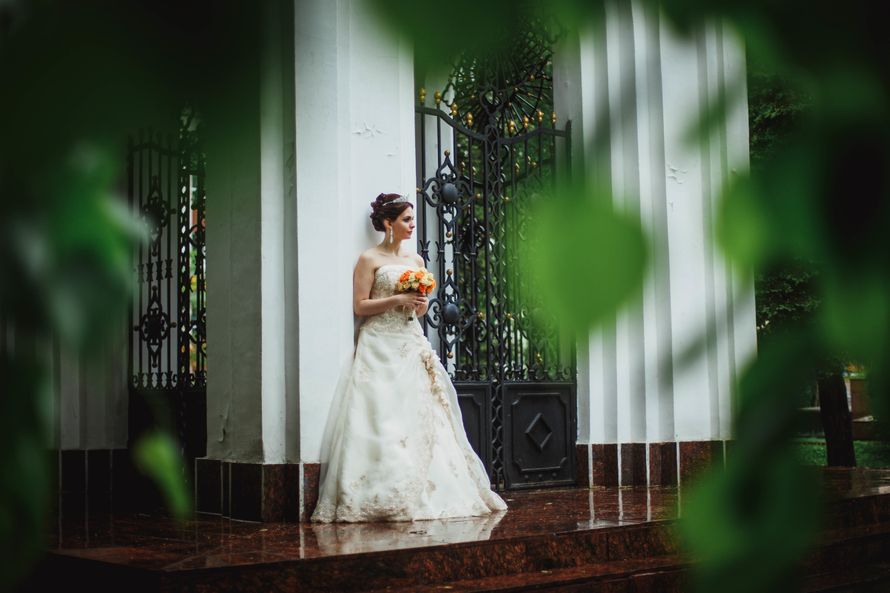 Фото 17890938 в коллекции Анастасия и Андрей - Photographer Vladimir Degtyarev