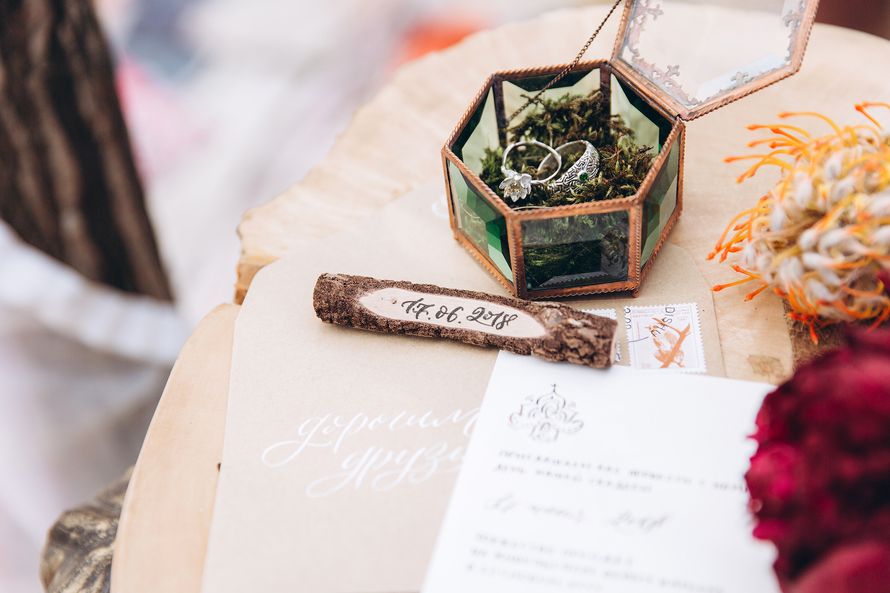 Фото 18026648 в коллекции Портфолио - Фотограф Жукова Дарья