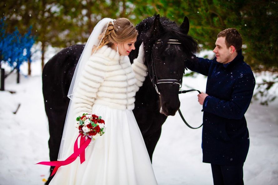 Фото 17149386 в коллекции X-land - Парк "X-land"