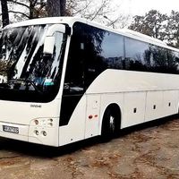 375 Автобус Temsa 57 мест в аренду