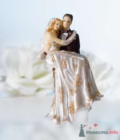 Пара. Невеста на руках в кружевном платье - фото 53558 RosyDog – свадебные аксессуары из Америки и Европы