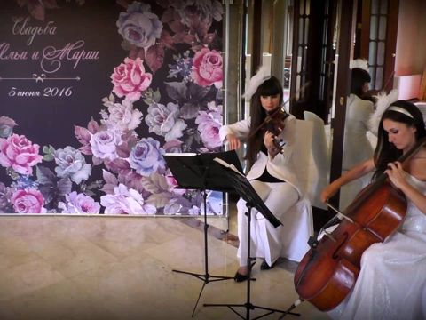 Струнный дуэт скрипка и виолончель - встреча гостей свадьбы