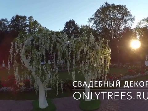 Свадебная арка для свадьбы в Морозовке