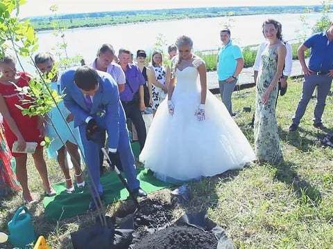 Свадьба в Томске Ангелины и Дениса. 5 июля 2014 год.