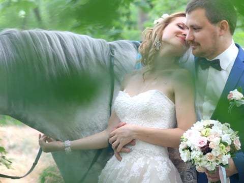 Wedding Андрей+Маша Shining Bright